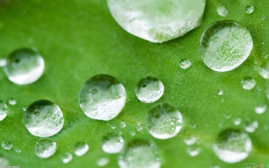 rain-drops-green-leaf_106255