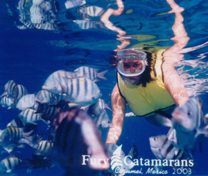 All Aboard for a Cruise!