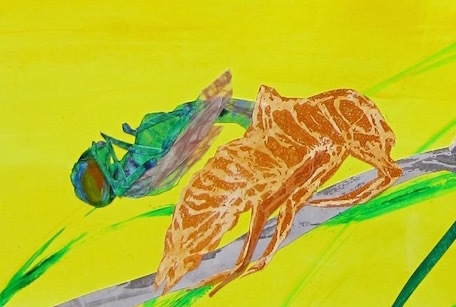 Dragonfly copy