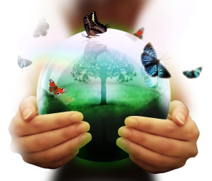 EnvironmentalConservations