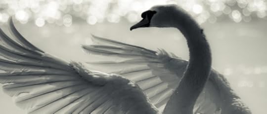  photo Bildschirmfoto 2015-09-21 um 17.53.21_zpsczdiwqky.png