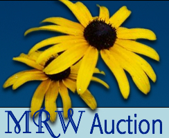 MRW_Auction_Button_Image_large