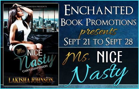 msnicenastybanner