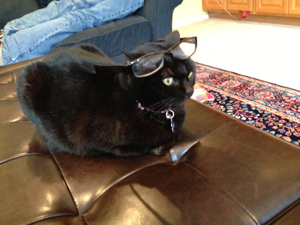KC thinks wearing glasses makes her look even smarter than she already knows she is.