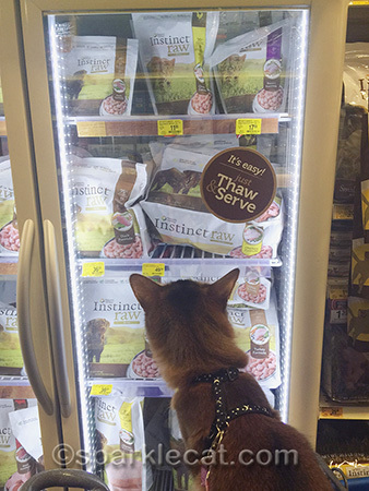 How come the dogs get so many choices?