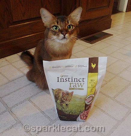 Hurry up - I can't open this bag by myself!