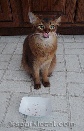 Can I have more, please?