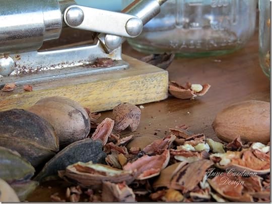 pecans2