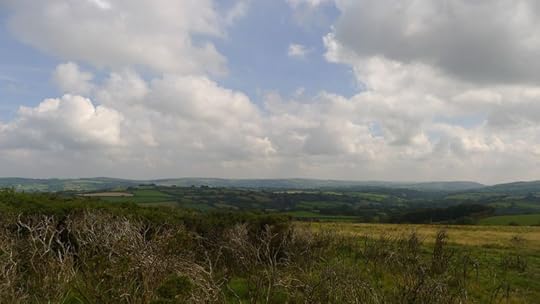 Meldon 2
