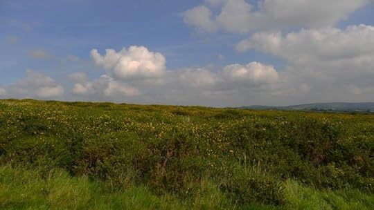 Meldon 4