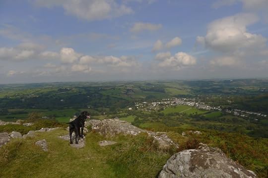Meldon 9