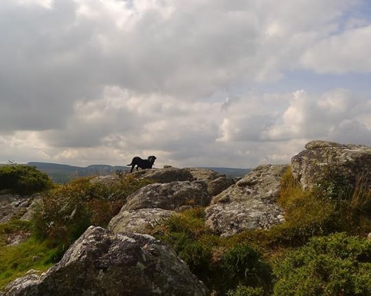 Meldon 12