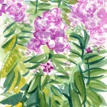 Flowers in the garden.