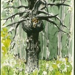 The most awesome tree