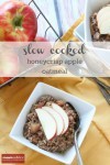 slow_cooked_honeycrisp_apple_oatmeal_2
