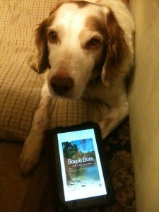 Beau and Book