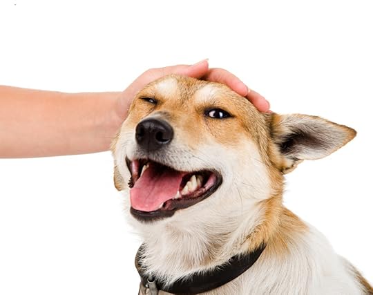 SmilingPetDog_12329574_original