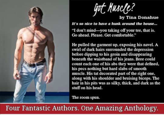 tinadonahue_EyeCandy1_LSFW_Excerpt