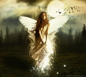 Image from pickywallpapers