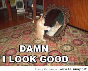 2c895edb9a_Yes-kitty-you-look-awesome