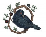 raven