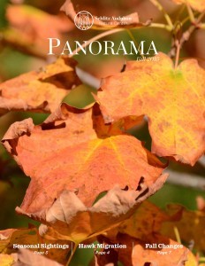 Fall Panorama Cover 2015