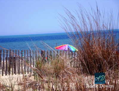beachumbrella copy