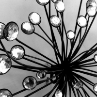 sparkle bw