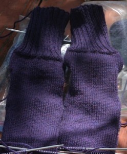 Purple-socks-Sept22-2015
