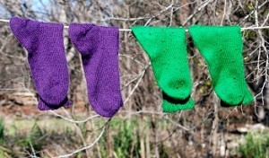 purple-green-drying072