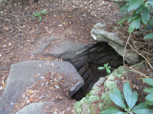 islands 3