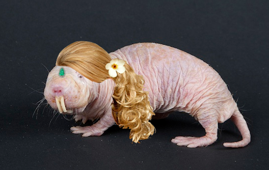 tumblr_mdv5jyCxW41rlbjgfo1_540