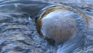 stock-footage-water-flows-over-a-rock-in-the-river-hd