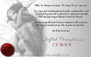 ShiftedPerceptionsTeaser4