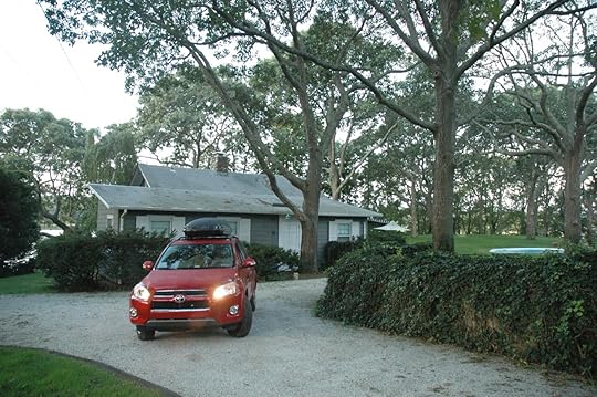 DSC_1749_copy_copy_copy_copy