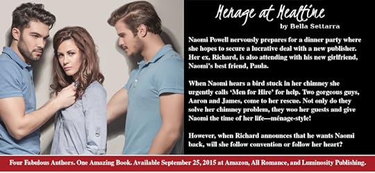 bellasettarra_menage_blurb