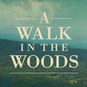 a-walk-in-the-woods-robert-redford-nick-nolte-a-wa1 (1)