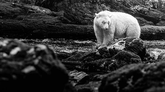20150920-duChemin-GreatBearRainforest-1633