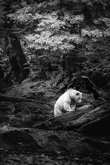 20150920-duChemin-GreatBearRainforest-3779