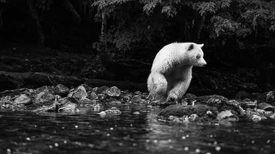 20150921-duChemin-GreatBearRainforest-1363