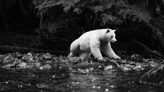 20150921-duChemin-GreatBearRainforest-1364