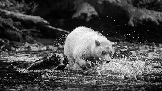 20150921-duChemin-GreatBearRainforest-1376