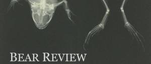 bear review