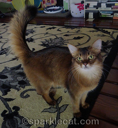 No, I am NOT spoiled! I'm just well cared for