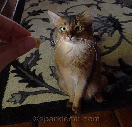 Freeze-dried chicken is some of my favorite!