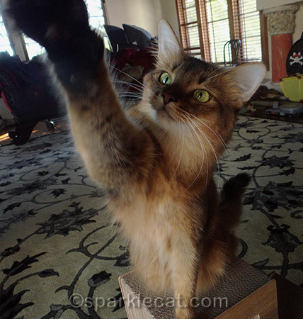 I got a treat for the High Five