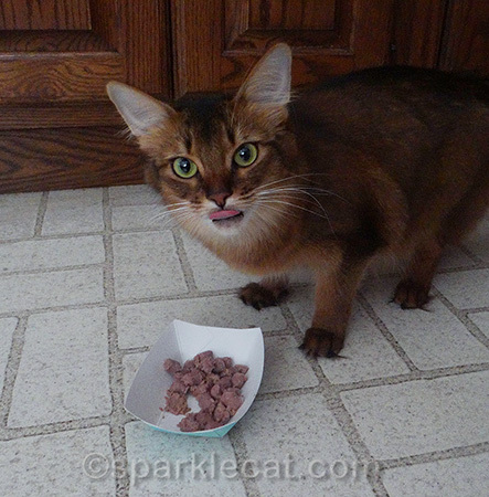 That's what she gets for disturbing my meal