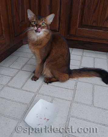 If I'd had my tail curled in, we probably could have stopped here