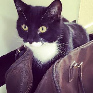 11813338_10153422648526007_7345059493710405948_n