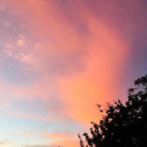 11807312_10153438658451007_2248248598136579550_o